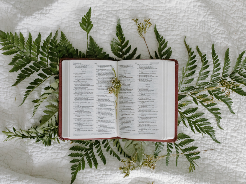 bible with greens behind it